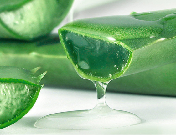 Aloe Gel Skin Care Moisturizing Face Cream 4