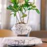 PZ1 marble color
