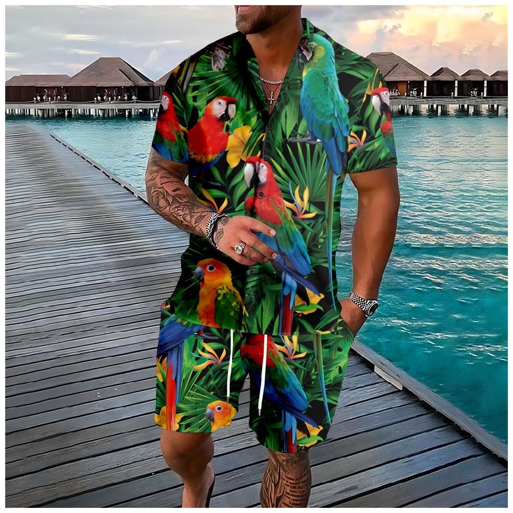 Mens Lapel Shirt And Shorts Set With 3D Print 15