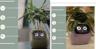 Set19