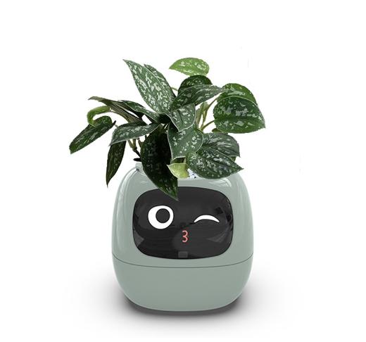 Smart Planter Endless Fun Over 49 Rich Expressions 7 Smart Sensors And AI Chips Make Raising Plants Easy And Fun 82